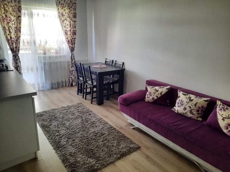 Ferienwohnung Diana Apartament Brașov Exterior foto